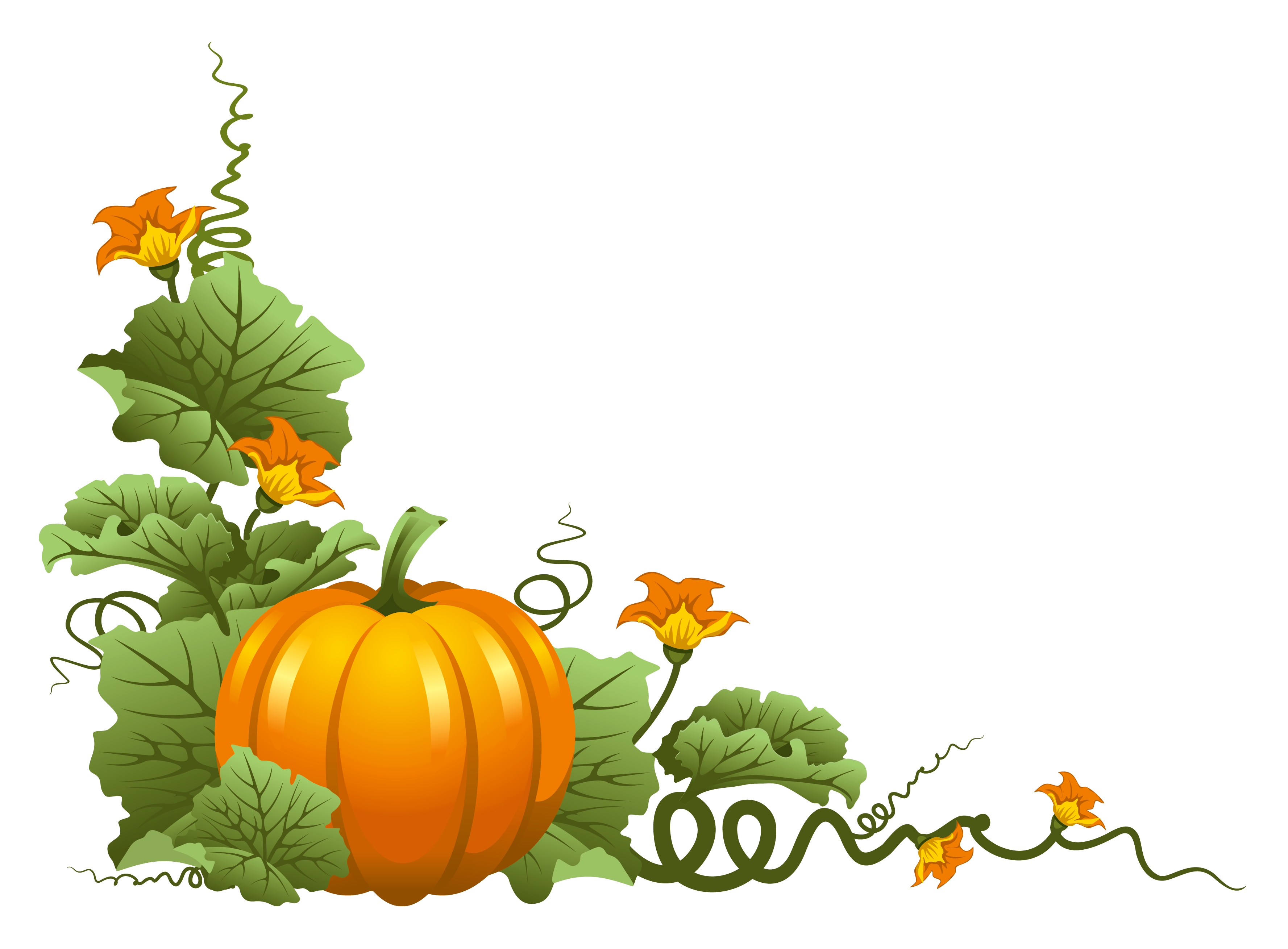 Pumpkin Decor PNG Clipart.