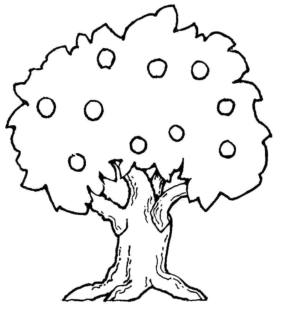 Free Tree Drawings Black And White, Download Free Clip Art.