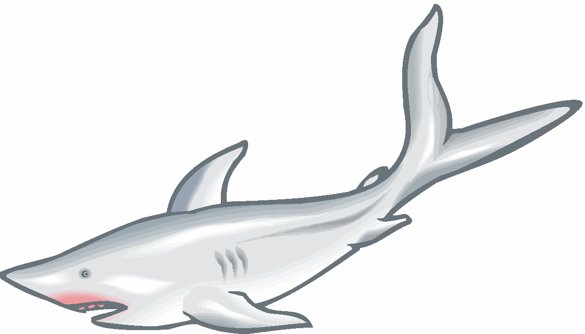 Tiger Shark Clipart sand shark 5.