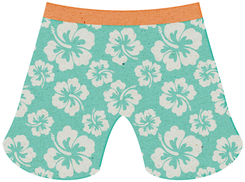 LJS_BNF_Swim Trunks.png.