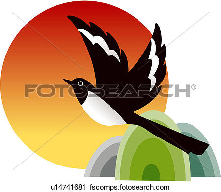 Elster Vogel Clipart.