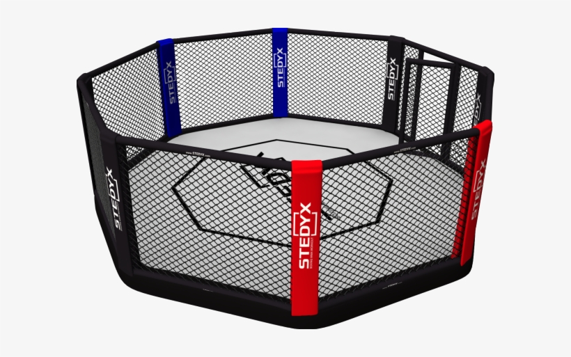 Clipart Black And White Stock Cage Vector Mma Octagon.