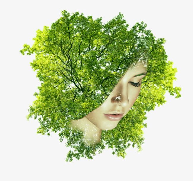 By Trees Covered Half Of His Face Female Head PNG, Clipart.