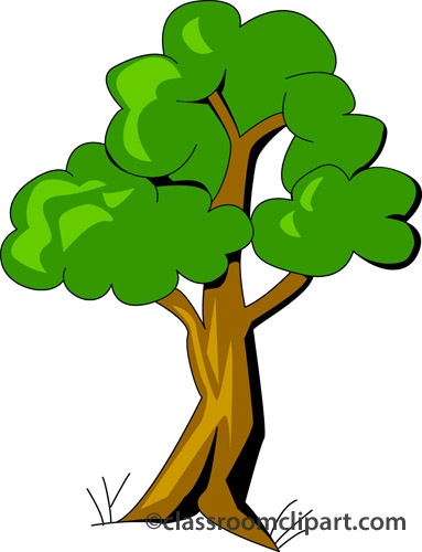 Trees clipart no background.