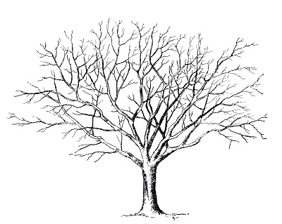 Tree Clipart Black And White.