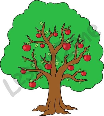 Parts Of The Tree Clipart.