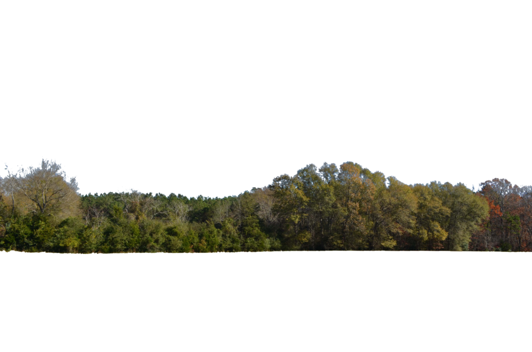 Tree line png 1 » PNG Image.