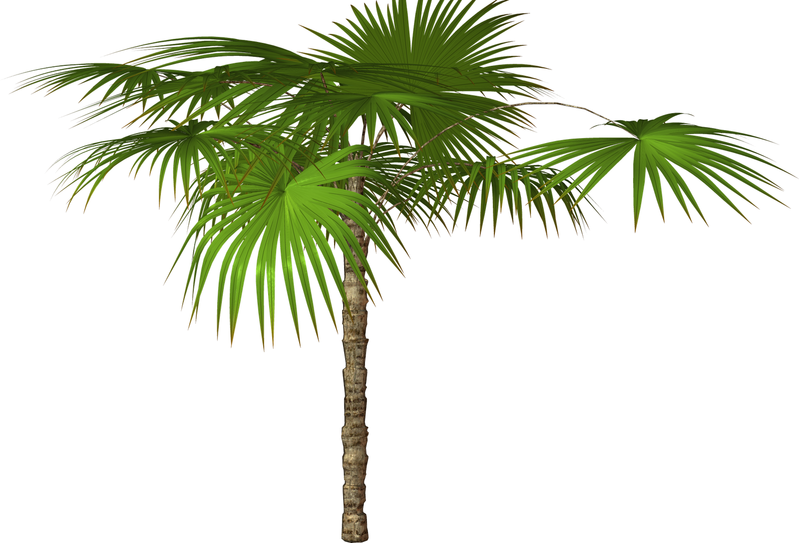 Free Tree Clipart.