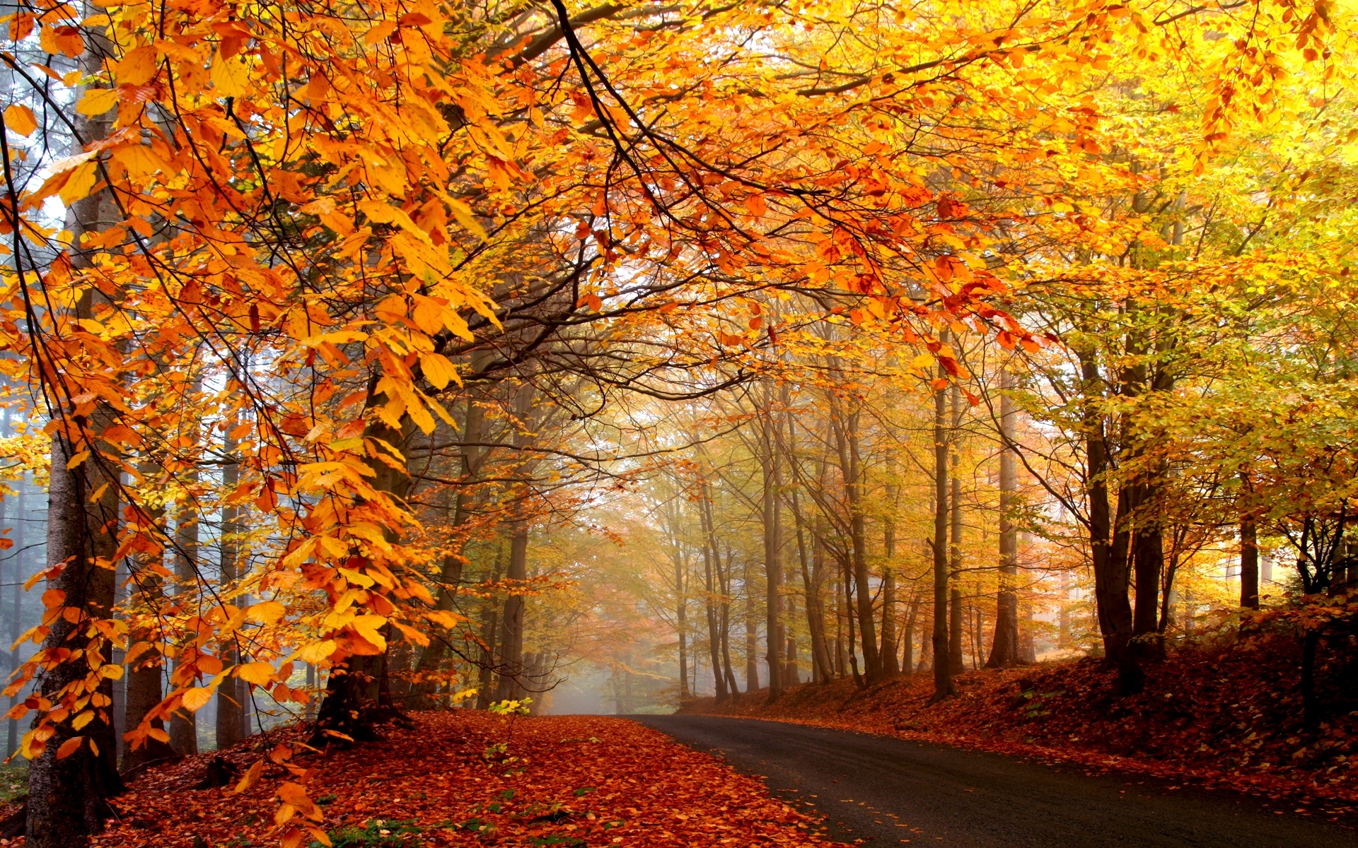 Autumn road clipart.