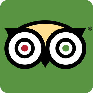 Tripadvisor Icon Vector #294532.