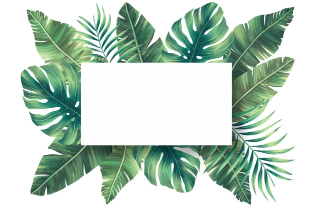 Tropical Leaves Vectors, Photos and PSD files.