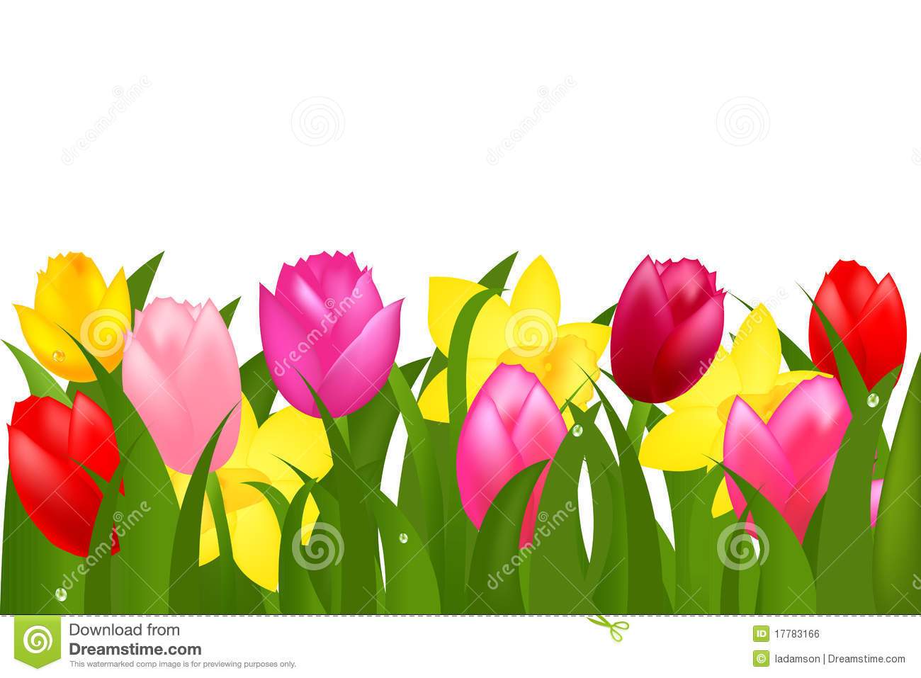 Tulip border clipart 3 » Clipart Portal.