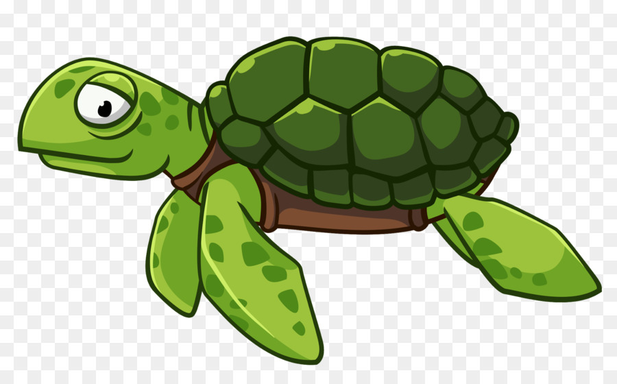 Sea Turtle Background.