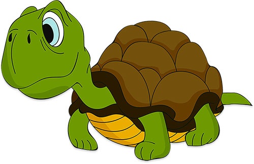 Free Turtle Animations.