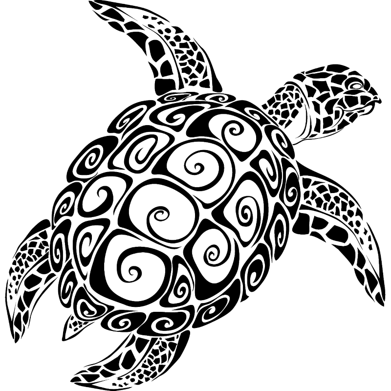 Sea turtle Vector graphics The Turtle Image.