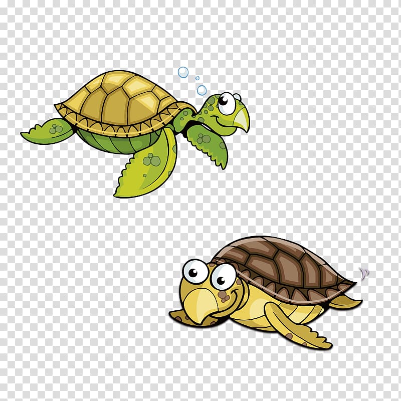 Pics of turtles clipart images gallery for free download.