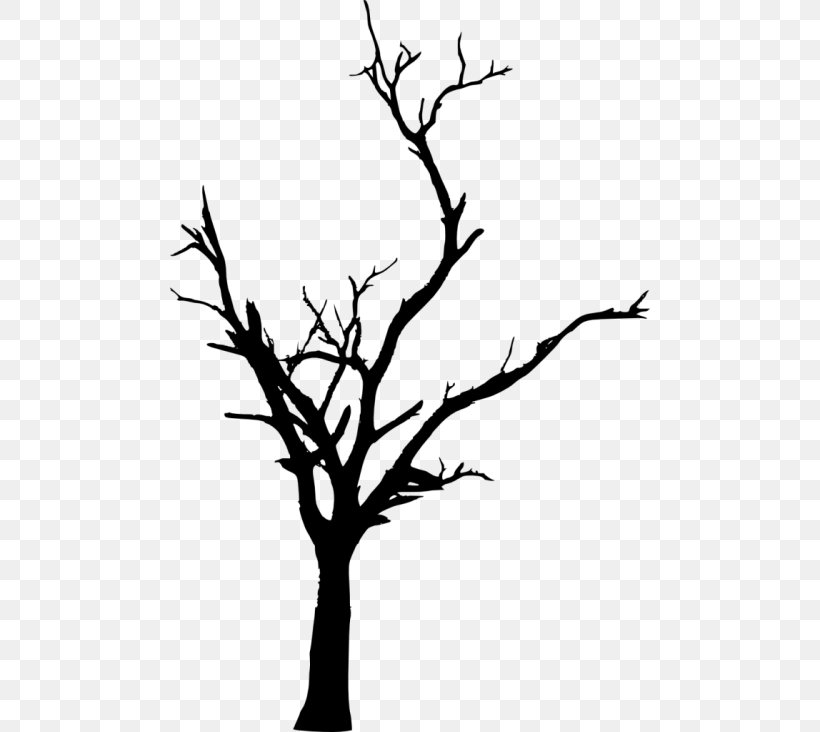 Twig Tree Branch Clip Art, PNG, 480x732px, Twig, Black And.