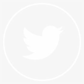 Twitter White Icon Png , Png Download, Transparent Png.