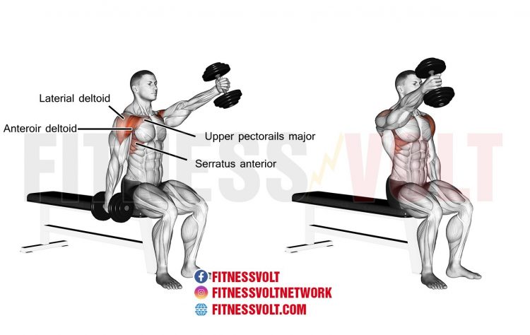 Seated Alternating Dumbbell Front Raise (Shoulders.