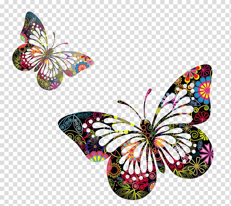 Two multicolored floral butterflies , Butterfly Drawing.