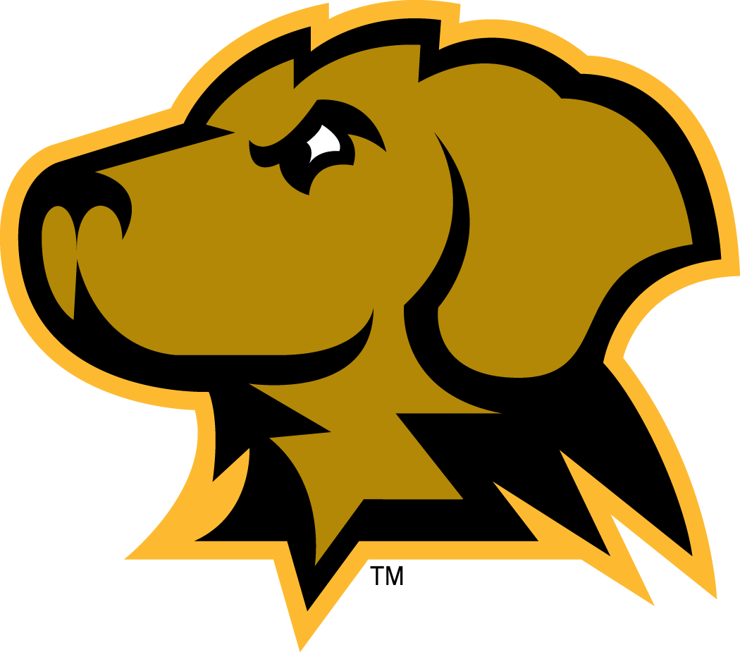 UMBC Retrievers Secondary Logo.