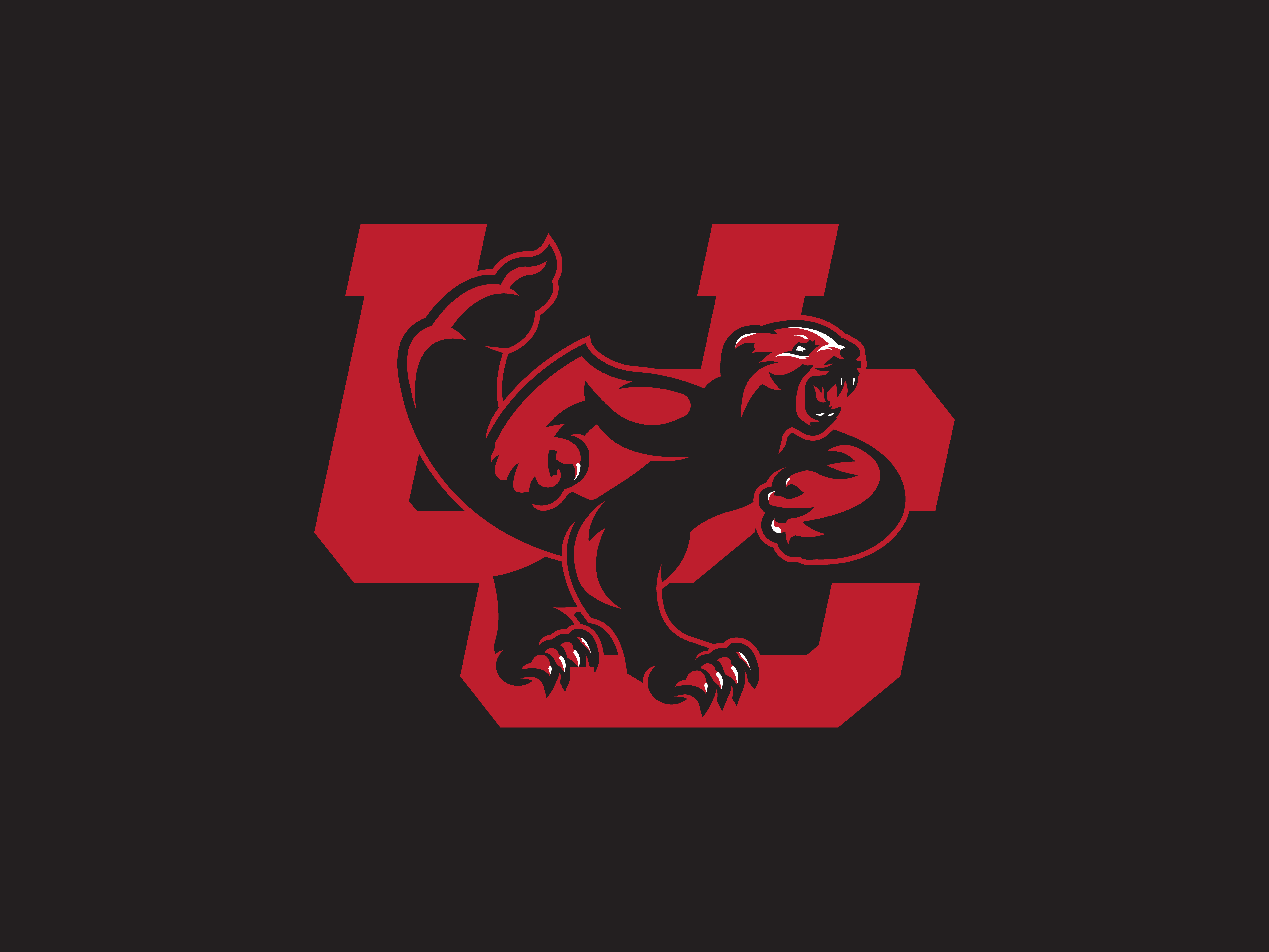 Sean McCarthy / Projects / University of Cincinnati Concepts.