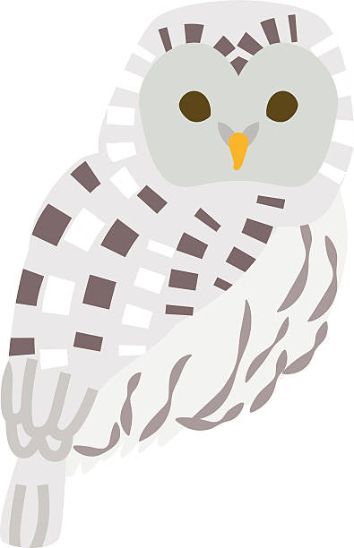 Ural Owl Clip Art, Vector Images & Illustrations.