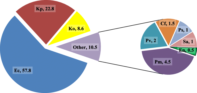 Epidemiology of urinary tract infection and antimicrobial.