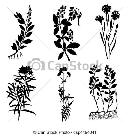 Valerian Illustrations and Stock Art. 76 Valerian illustration and.