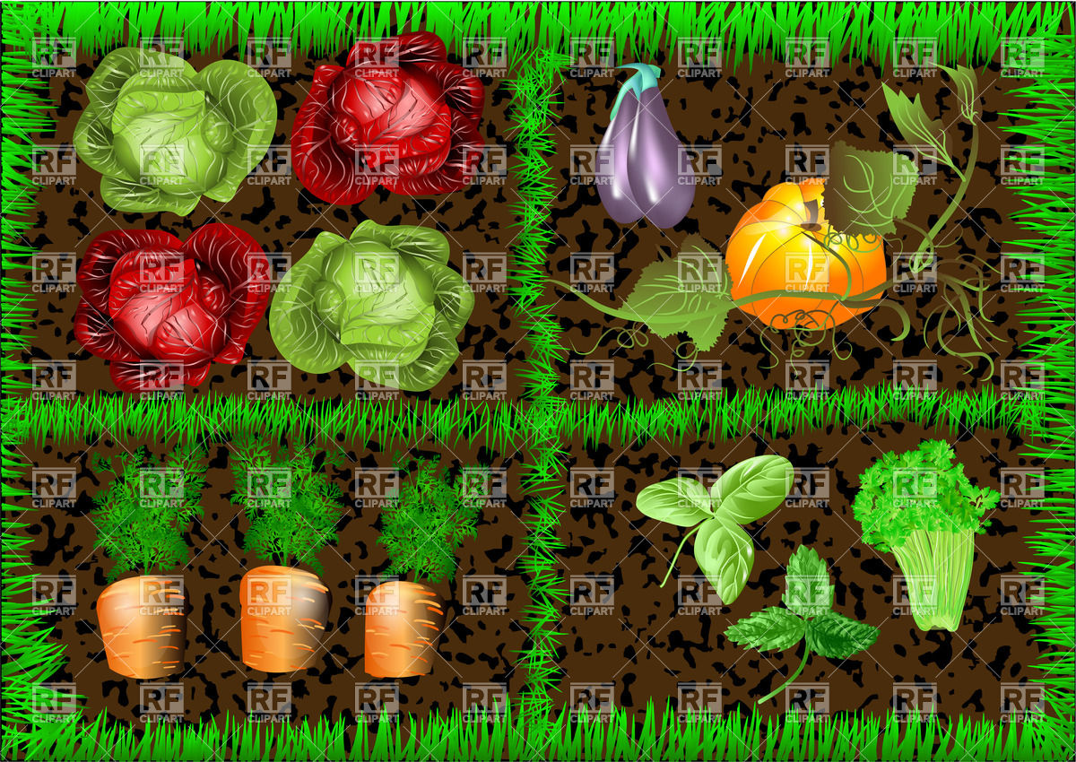 Vegetable Gardening Clipart.