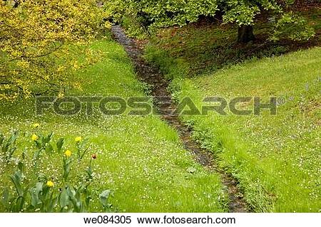 Stock Image of Villa Taranto botanical gardens, Verbania. Lake.