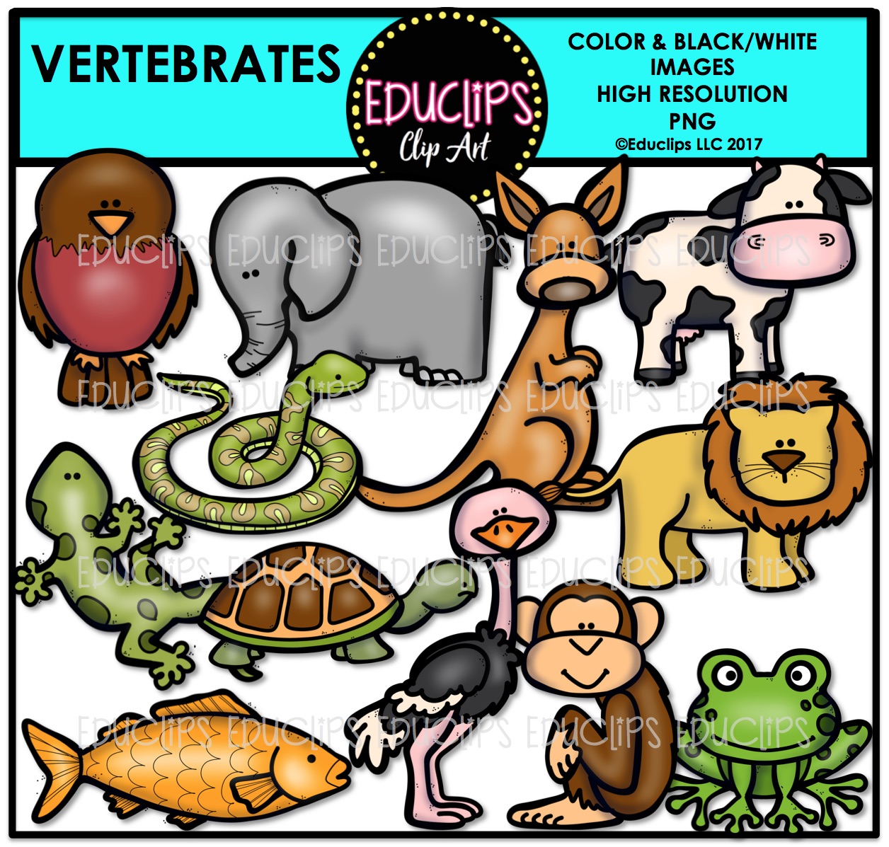 Vertebrates Clip Art Bundle (Color and B&W).