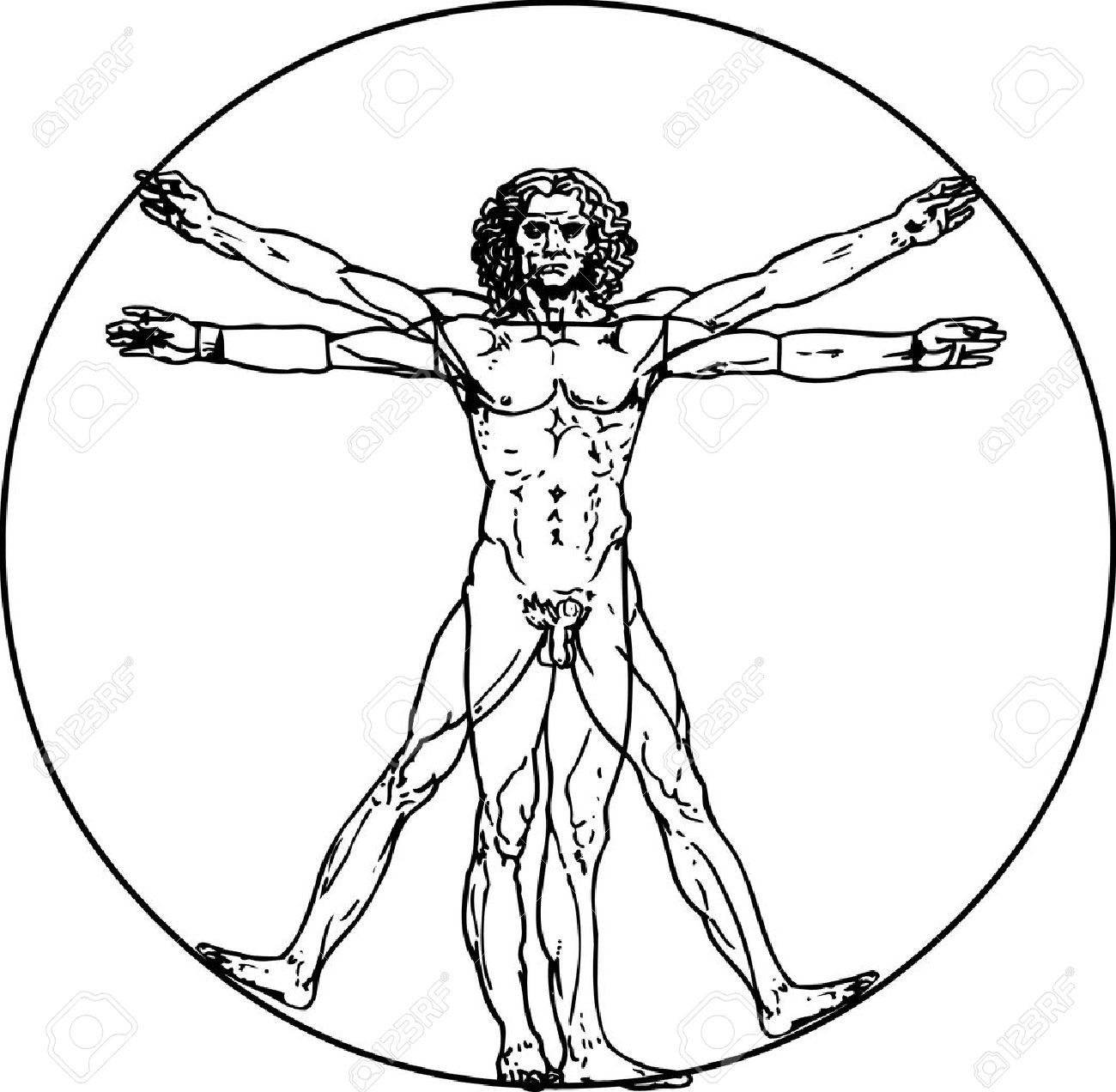 Leonardo Da Vinci's Vitruvian Man In Vector Royalty Free Cliparts.