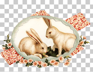 76 vintage Bunny PNG cliparts for free download.