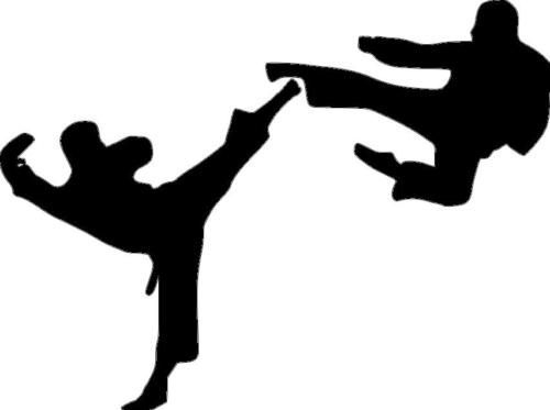 Details about Vinyl Decal Martial Arts Fighter Kick Jump.