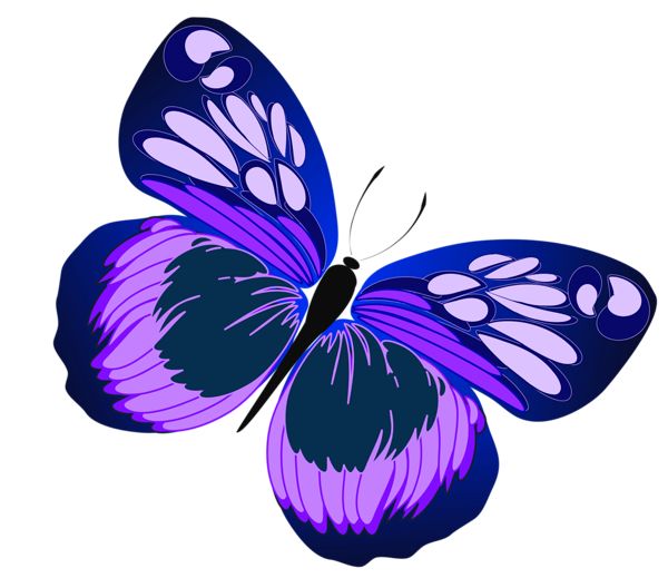 17 Best ideas about Butterfly Drawing Images on Pinterest.