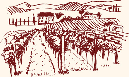 Vineyard vector free vector download (30 Free vector) for.