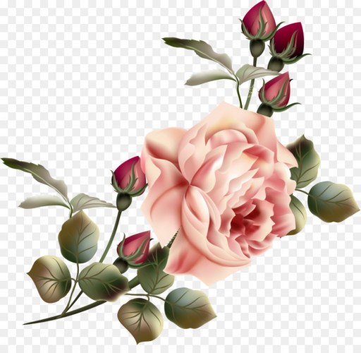 Flower Garden roses Clip art.