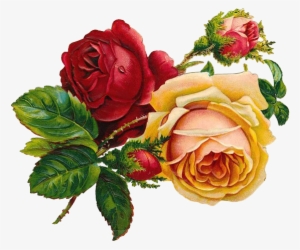 Vintage Rose Png PNG Images.