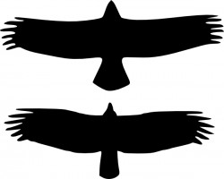 Free Vulture Cliparts, Download Free Clip Art, Free Clip Art.