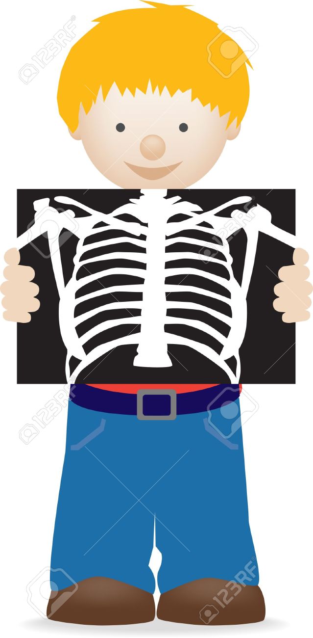 X Ray Clipart For Kids.