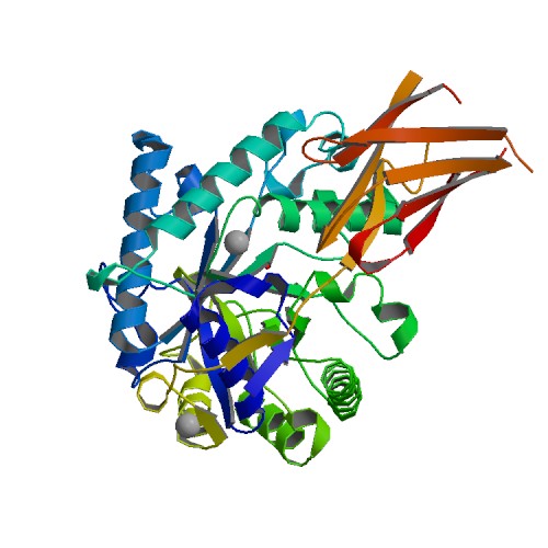 RCSB PDB.