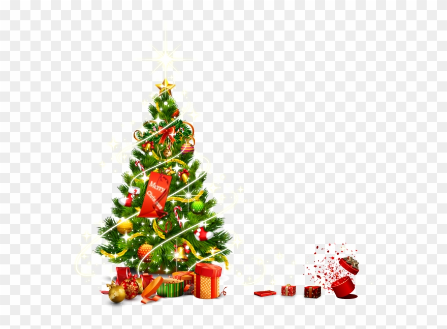 Christmas Tree Vector.