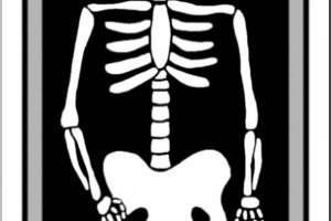 Xray clipart png » Clipart Portal.