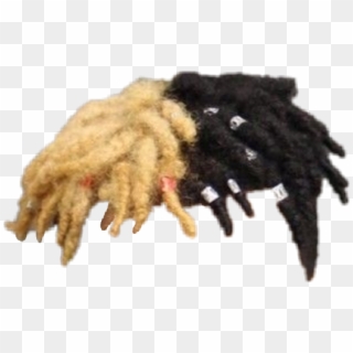 Xxxtentacion Hair PNG Images, Free Transparent Image Download.