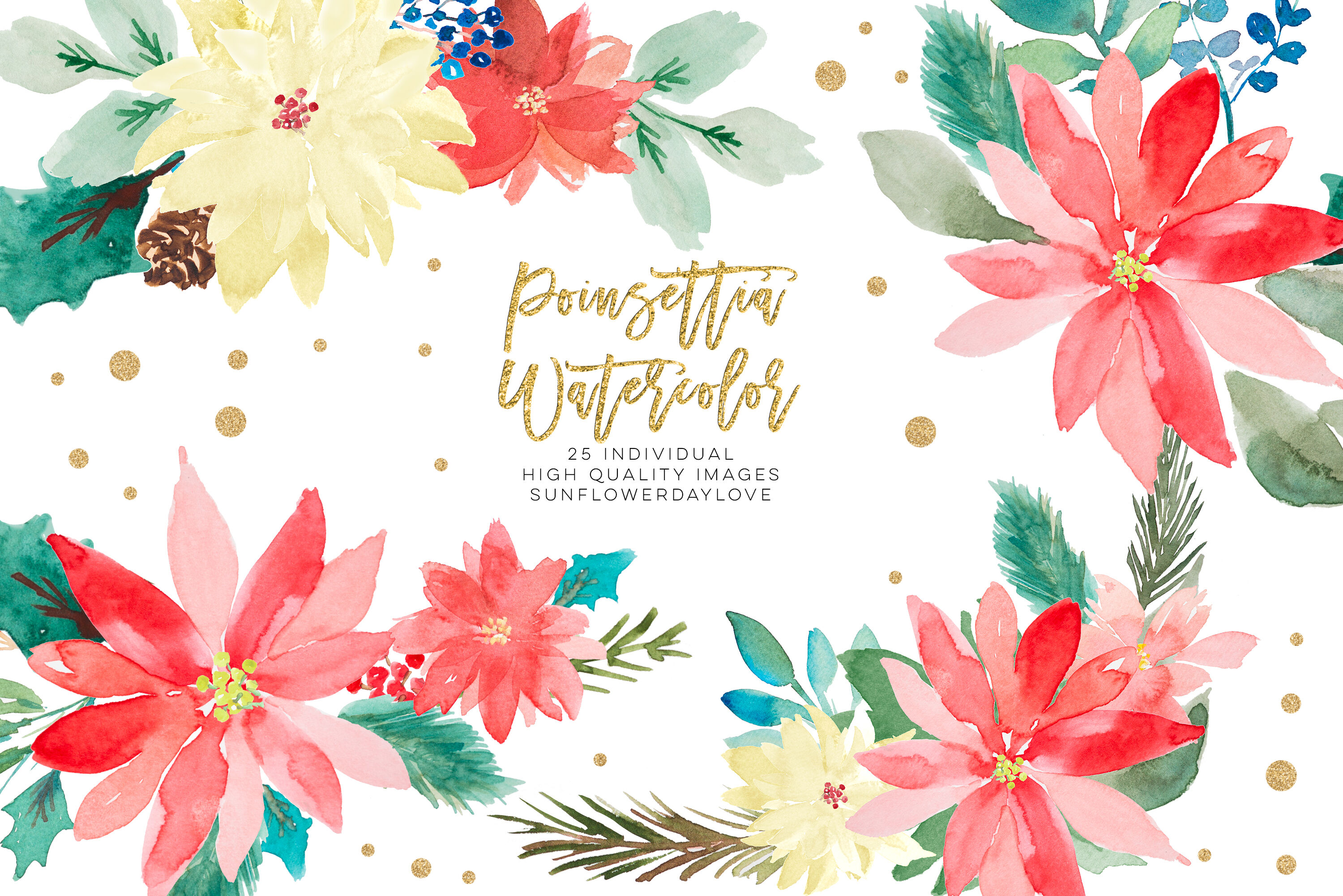 Poinsettia clipart, Christmas Wedding Invitation clipart By.