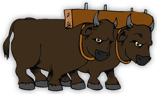 Oxen clipart.