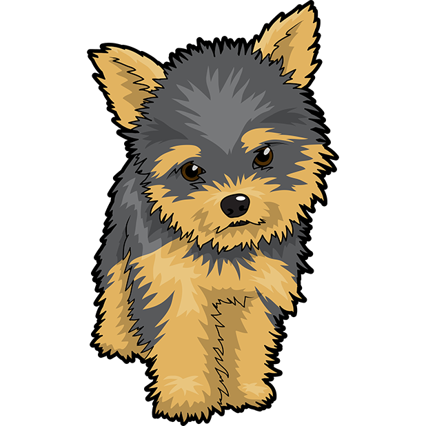 Pet clipart yorkie, Pet yorkie Transparent FREE for download.