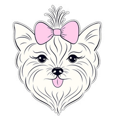 Yorkie Head Vector Images (33).