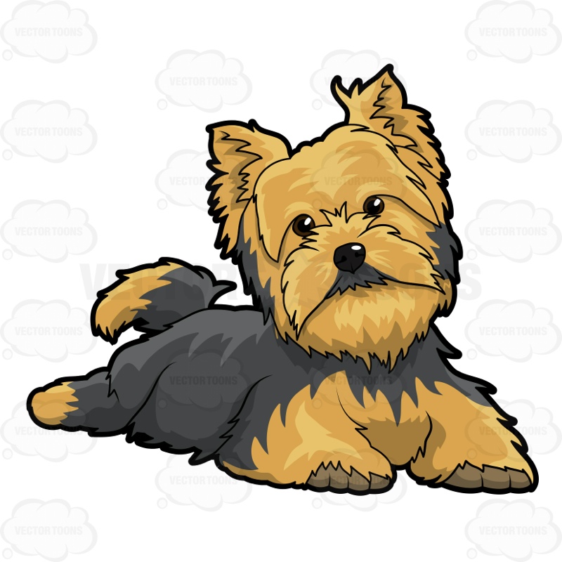 Cartoon yorkie clipart.